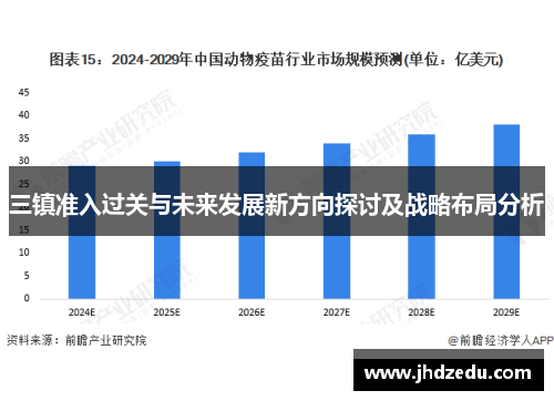三镇准入过关与未来发展新方向探讨及战略布局分析